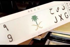 لوحة خاصة للبيع السوم 55000 الف