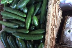 مورد وموزع ومتعهد خضار وفاكهة