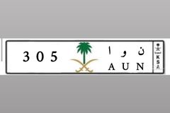 لوحة مميزة للبيع: ن و ا 305
