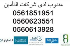 مندوب لدى شركات التأمين