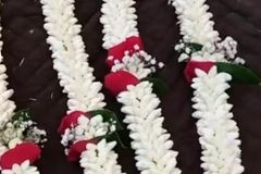 سالم لبيع جميع اشكال الفل البلدي جده