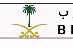 لوحة لقبيلة حرب لللبيع