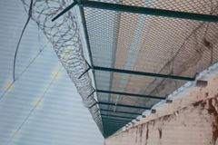 مقاول شبوك سياج اسوار تركيب شبوك