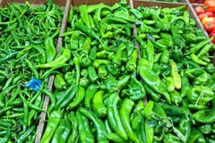 شركة توريد الفواكة والخضروات الطازجة بجدة