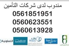التأمين والتعقيب
