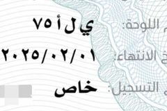 لوحة مميزة للبيع